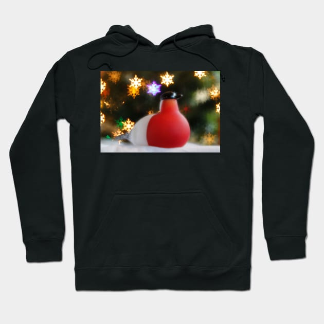 Finnish Christmas Finch Hoodie by ztrnorge